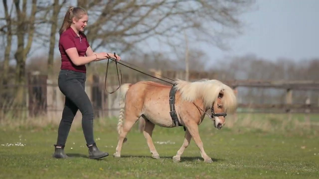 Flip and Eva Training and Connecting